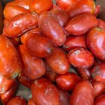 Tomates Ustaritz