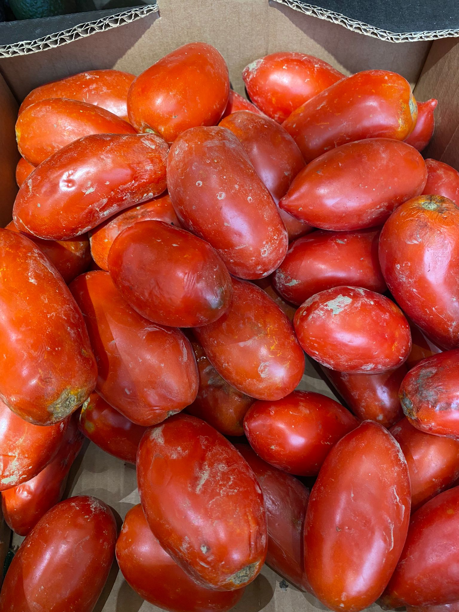 Tomates Ustaritz