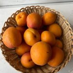 abricots